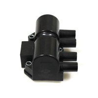 Катушка запалення-модуль DAEWOO LANOS 1.5/1.6, NEXIA 1.5 16 V (96350585) Катушка запалення-модуль DAEWOO LANOS 1.5/1.6, NEXIA 1.5 16 V (96350585)