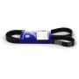 РЕМІНЬ ГЕНЕРАТОРА (6PK1370) ГАЗ 16V (ГПК)